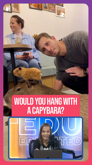 Would You Hang With A Capybara?