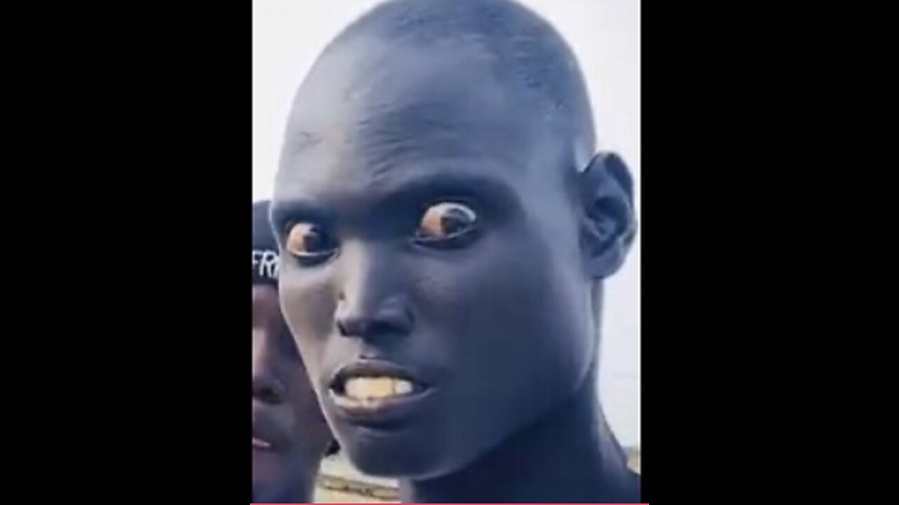 All Kind Of Videos