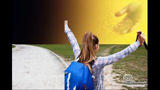 The Sower And The Narrow Path