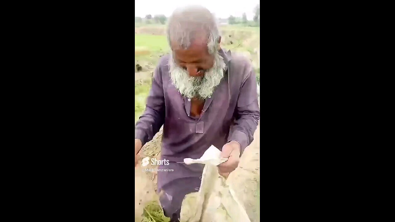 ha ha ha