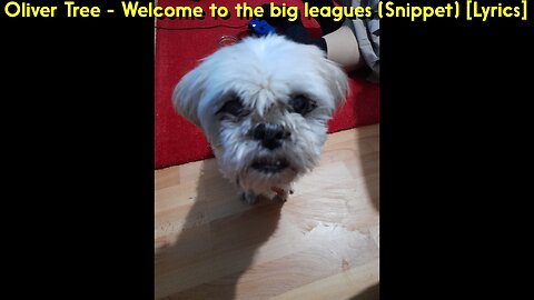 Oliver Tree - Welcome to the Big Leagues (Snippet) [Lyrics]