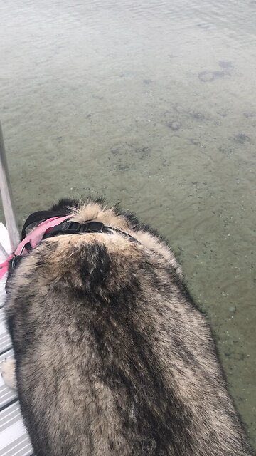 Monday April 21, You belong to God; so run away from all these evil things