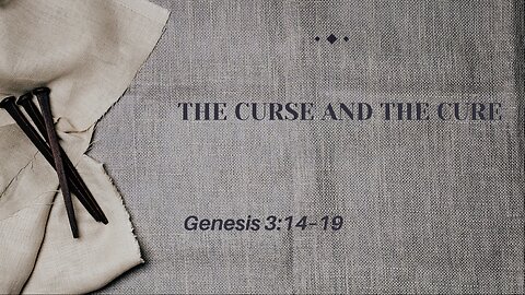The Curse To The Cure