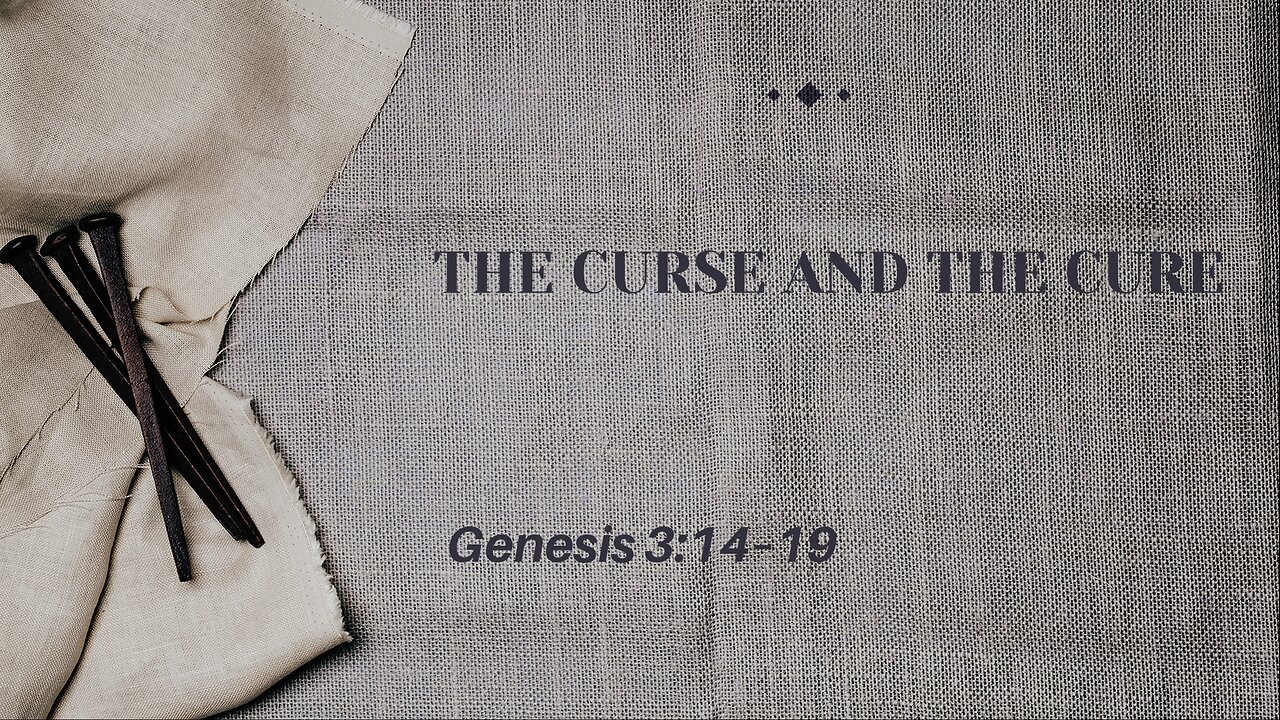 The Curse To The Cure