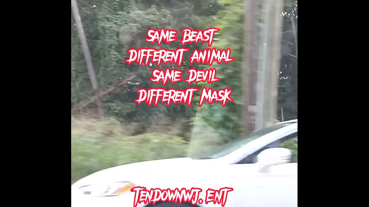 TenDown WJ Ent