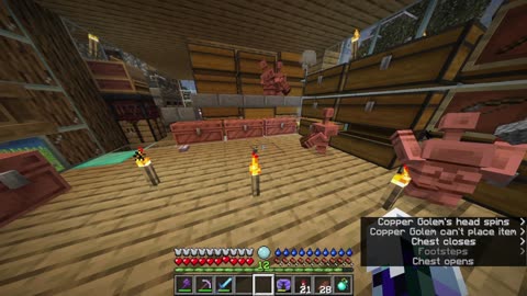 Minecraft Tough as Nails 6