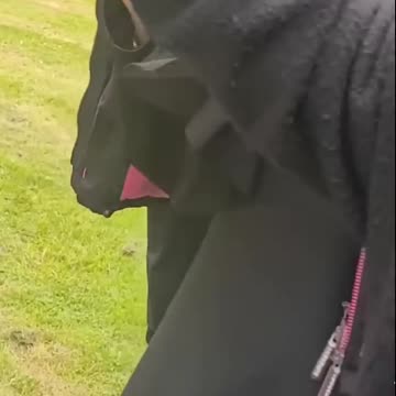 Muslims Take Over English Park