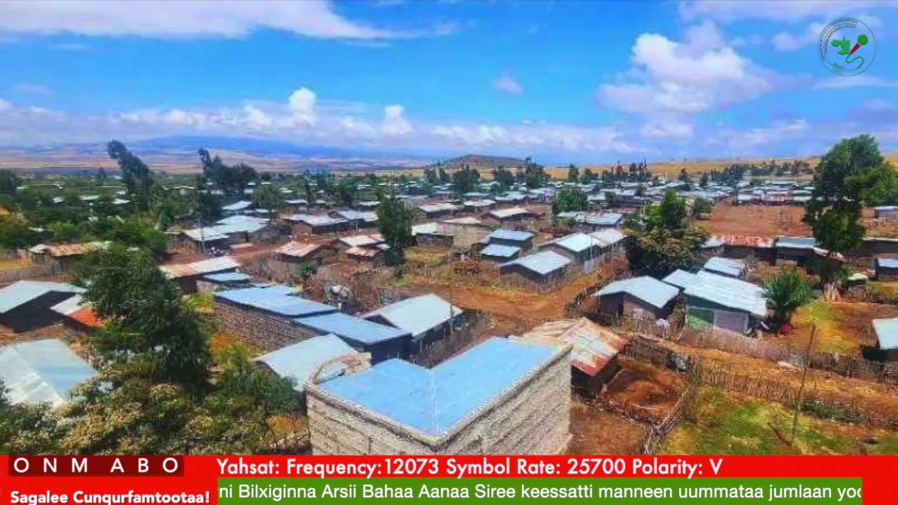 Oduu Ganama ONM-ABO Fulbaana 6-2025 itti dhiyaadhaa!