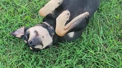 Just love me!