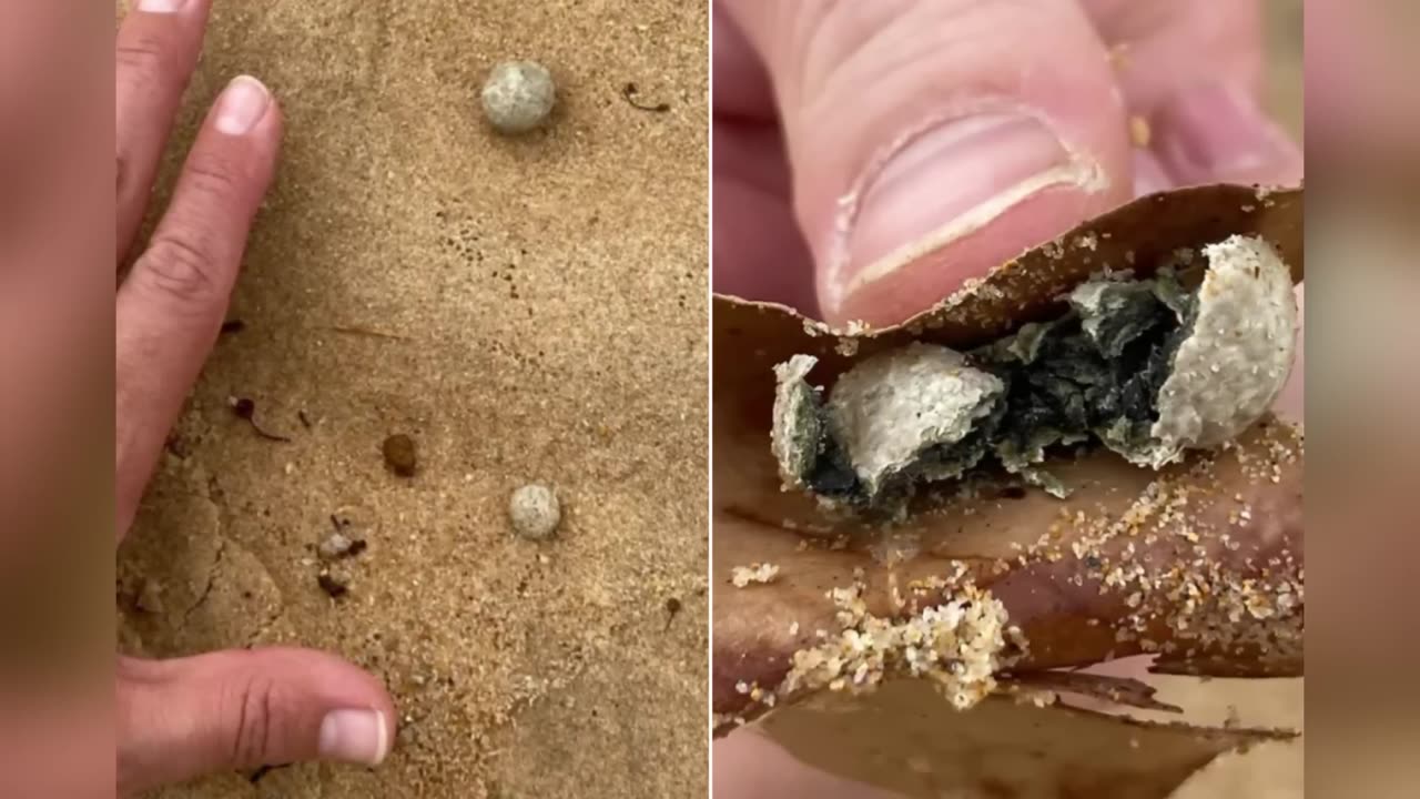 Boules toxiques, Area 51 & Cercles d’énergie : 3 mystères que personne n’explique !