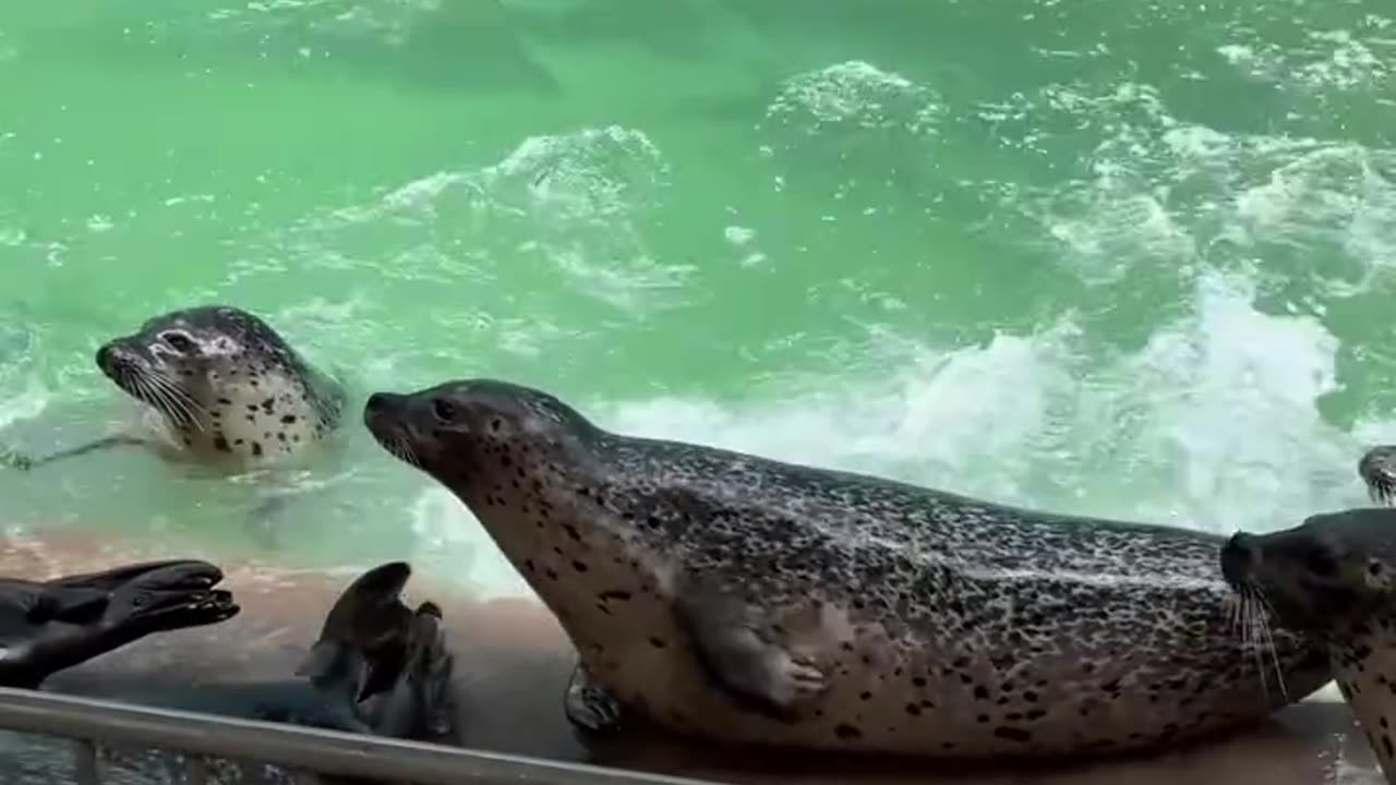 Look at me, I am Hungry 😂😂