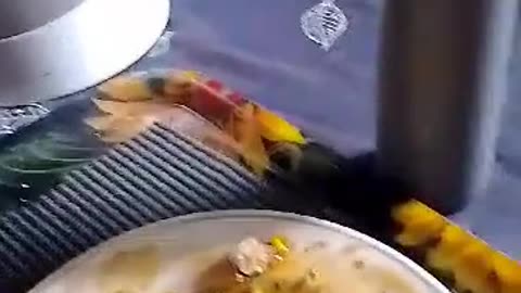Sharing Dinner With A Feathered Friend