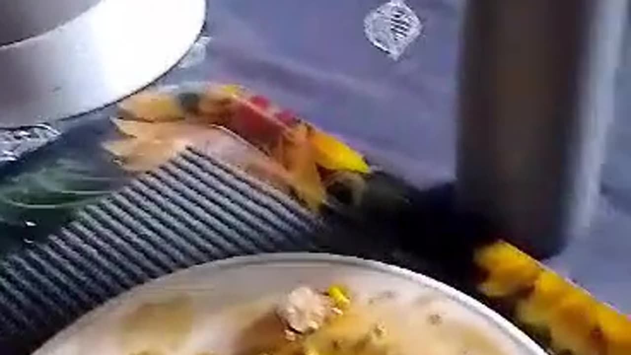 Sharing Dinner With A Feathered Friend