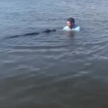 Meanwhile in Florida… Two Loner Souls Just Happened to Meet. 😁