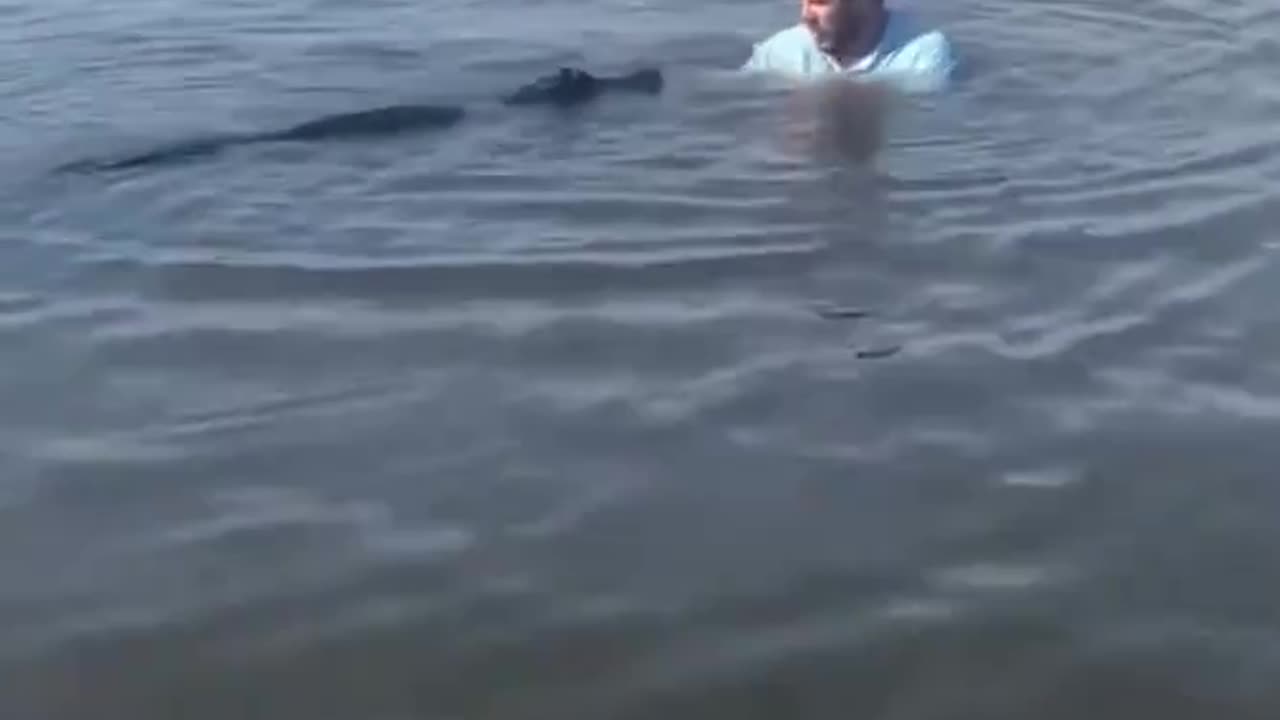 Meanwhile in Florida… Two Loner Souls Just Happened to Meet. 😁