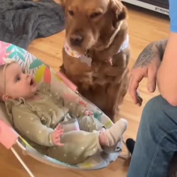 A dog is a child’s best friend