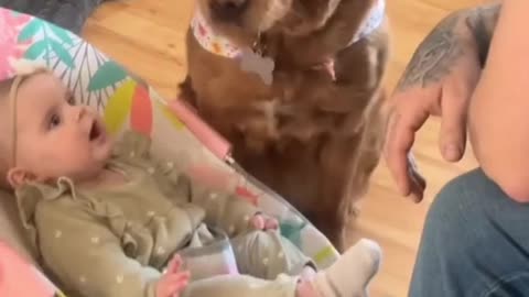 A dog is a child’s best friend