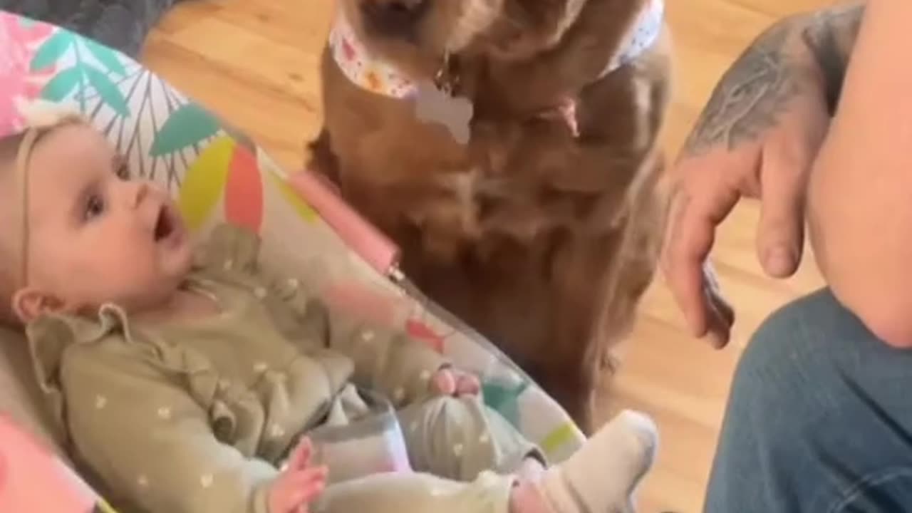 A dog is a child’s best friend