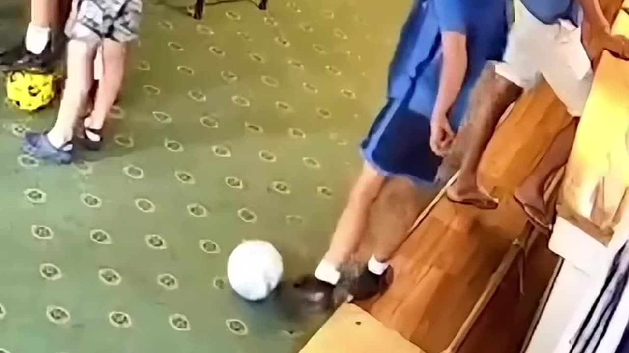 Can't Stop Laughing: The Ultimate Fail Compilation