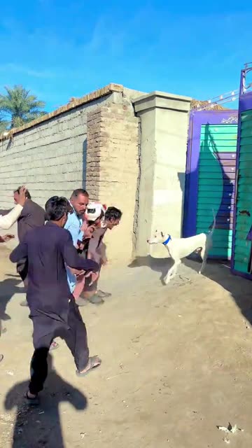 Wedding Baraat 😇😂🤣 | Funniest & Happiest Baraat Moments Ever 🎉💖