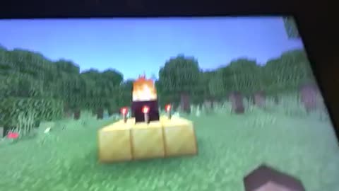 Minecraft video part five