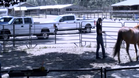 Skipper Calder & Cowboy-up Ministry bring horse training with a message at 11am.