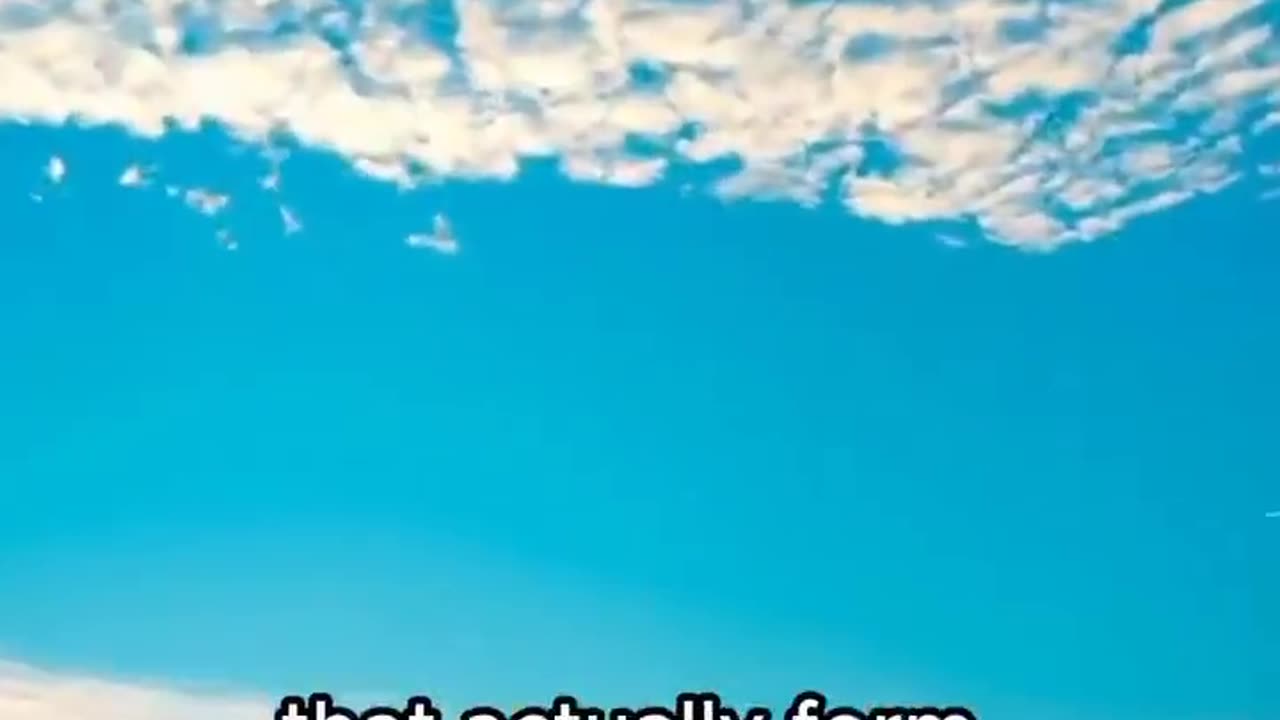 This will be an even greater crime against humanity than Covid was.