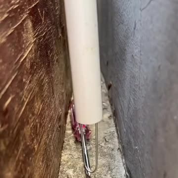 शनि भी आपका कुछ नहीं बिगाड़ पाएगा