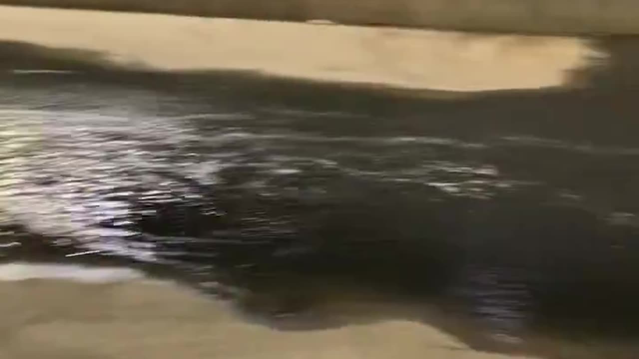 🚨Mexico has been dumping millions of gallons of raw sewage into the United States