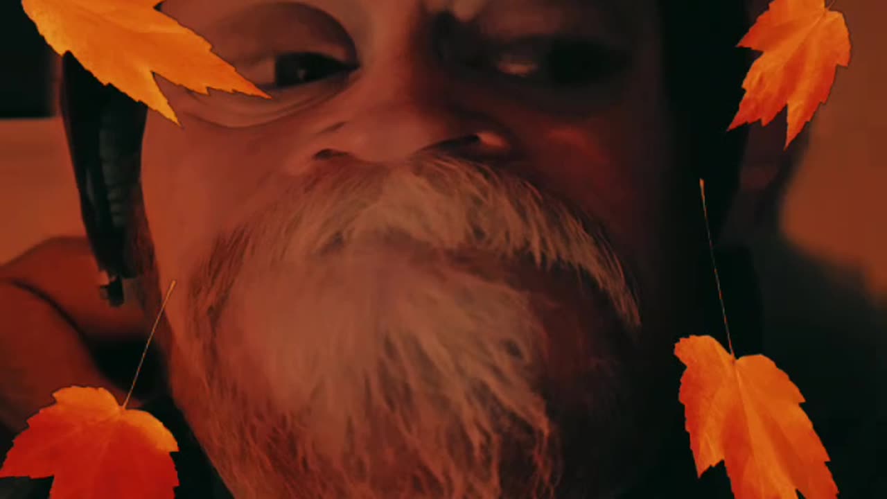 Song name: Fuzzy Gerbil