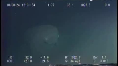 Un drone sous-marin japonais a capturé ces images d'une énorme créature marine inconnue