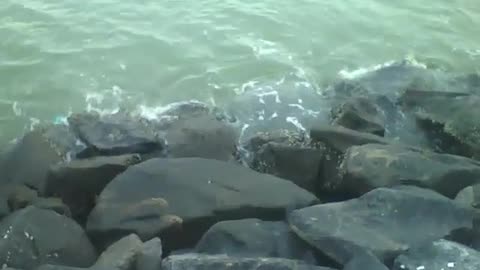 Filming the sea water hitting the rocks at dusk, very relaxing! [Nature & Animals]