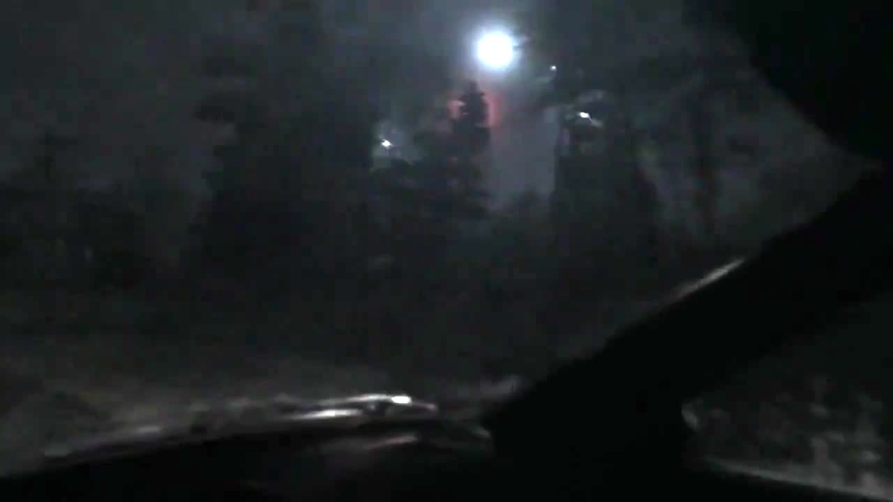 Triangular UFO Caught at night in a forest by a car driver