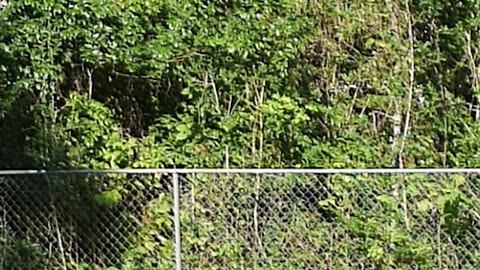 Never give up on yourself by Ed Delacruz. #health #healthy #healthadvice #reels #shorts