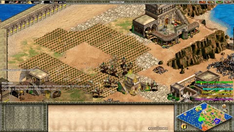 Age Of Empires 2 (Original) - Saladin | Jihad! Gameplay & Strategy