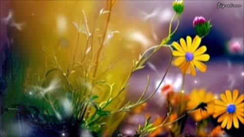 Morning Music 🎵🎶Positive Energy. Calm is a super Power. Don’t let Stress Kill your Happiness.