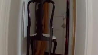 Fake asylum seekers in France pretend to be delivery boys and then break into a French