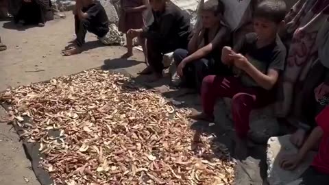 Palestinian children gather potato peels from nearby charity kitchens