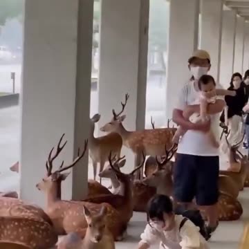 People are not afraid at all!