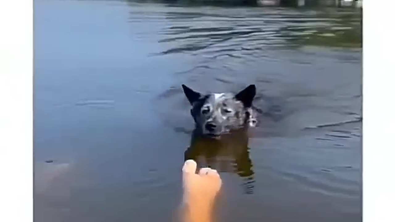 Try not to 🤣😂🤣