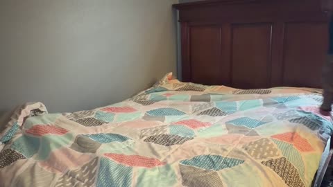 Making My Bed Every Day (Day 34) but the 76ers Need to Wake Up