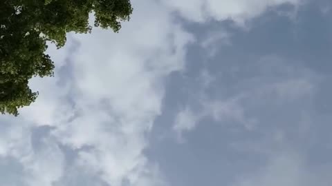 Daily Horoscope | Gemini 🌟