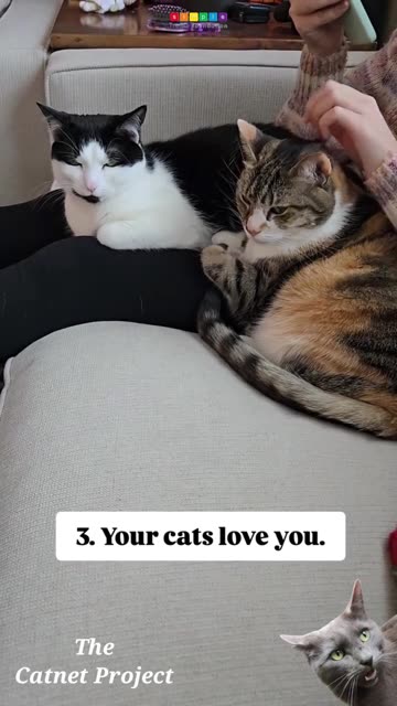 7 signs you are doing well in life.