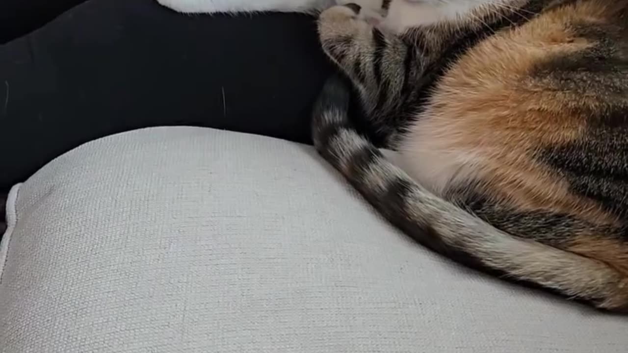 7 signs you are doing well in life.