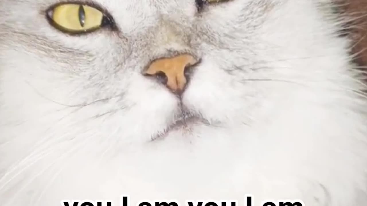 Subscribe if you liked it...