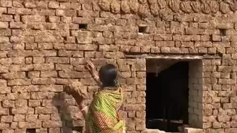 No Rules Just Wibes | Life in India | Funny Indian Fails & Crazy Moments