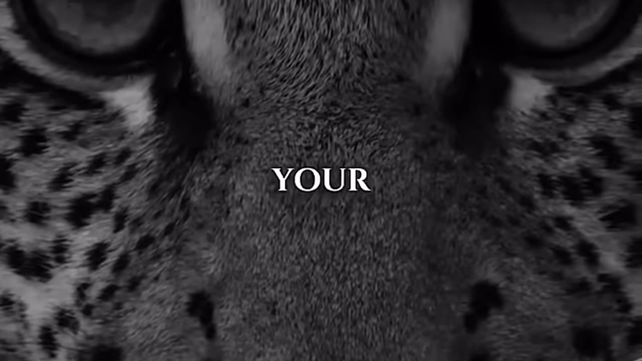 Motivational Thursday - God Didn’t Make You To Be Average