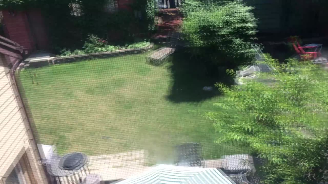 4th of July Pool Day