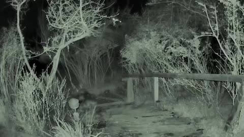 😱👽 UFO Sighting Caught on Camera! | TheHauntingHour