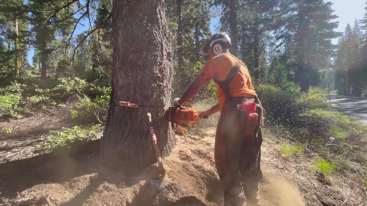 Roadside Hazard